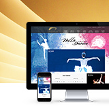 浙江国际舞蹈中心网站设计开发
